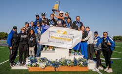 tf champs