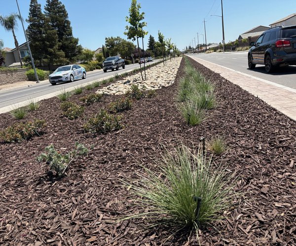 airport median