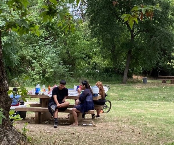 picnic1
