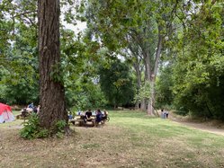 picnic1