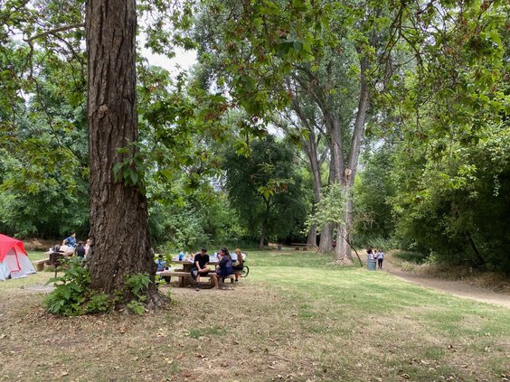 picnic1
