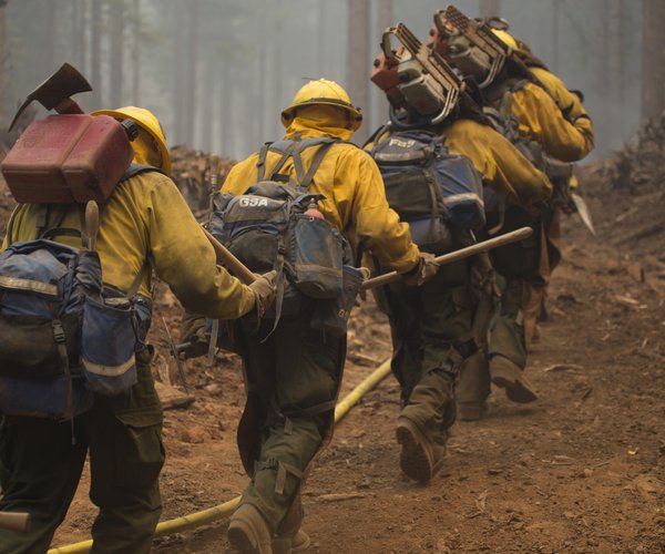federal forestry