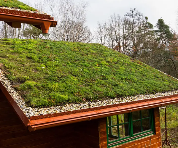 green roof