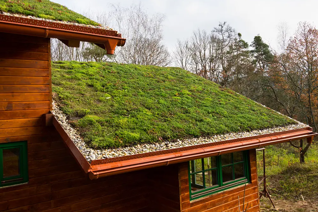 green roof