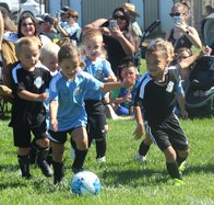 1 soccer 8-6