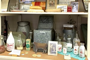 8-6 e museum