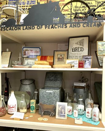 8-6 e museum