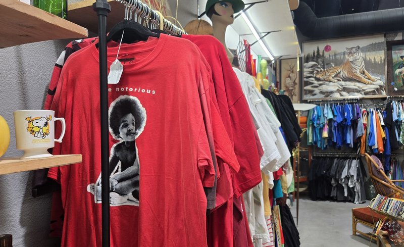 Modern Living Vintage Shirts