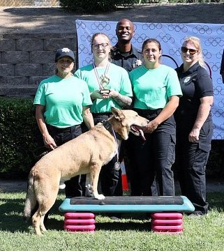 animal shelter olympics