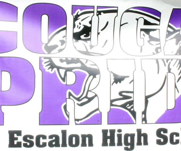 E cougars
