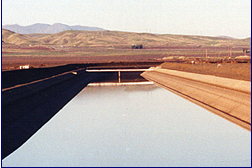delta mendota canal