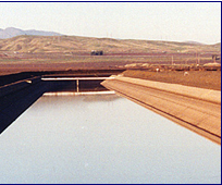 delta mendota canal