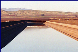 delta mendota canal