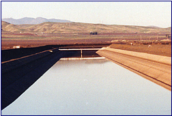 delta mendota canal