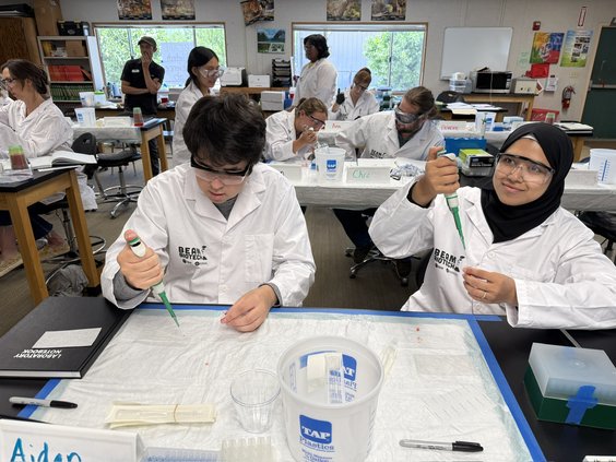 BEAM circular ambassadors