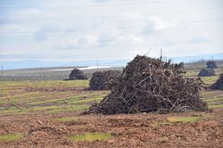 farm economy
