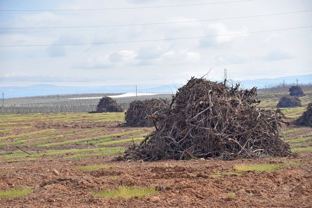 farm economy