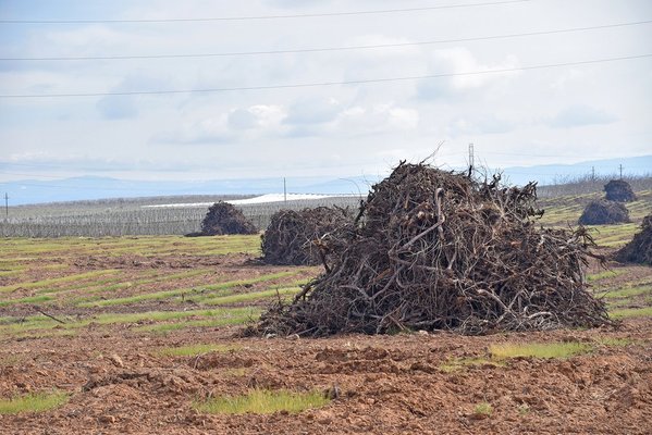farm economy