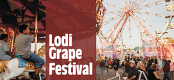 Lodi-Grapes.png
