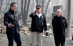 newsom trump