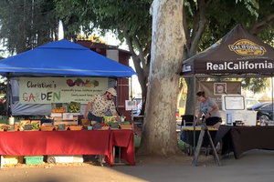 final market 8-27