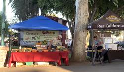 final market 8-27