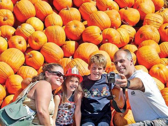 PUMPKIN1 9-29-08 copy