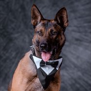 K9 Zero