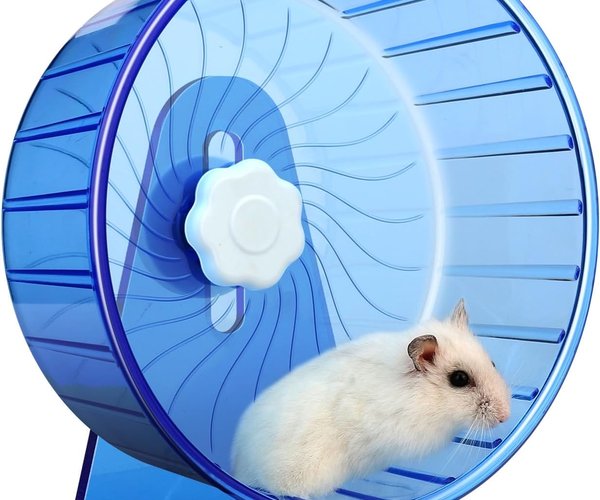 hamster