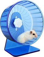 hamster