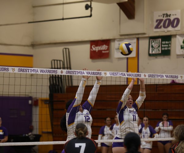 ohs vb 9-3 2