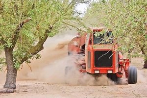 almond forecast