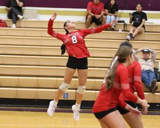ghs vb 9-3 1