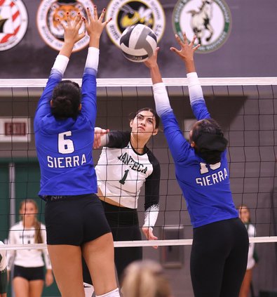 Sierra-Manteca girls volleyball