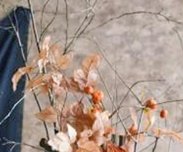 Halloween wedding art