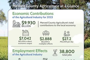 merced county ag report