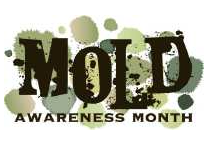 mold