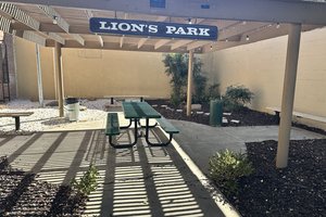 lion's park