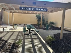 lion's park
