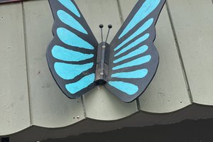 butterfly man newman