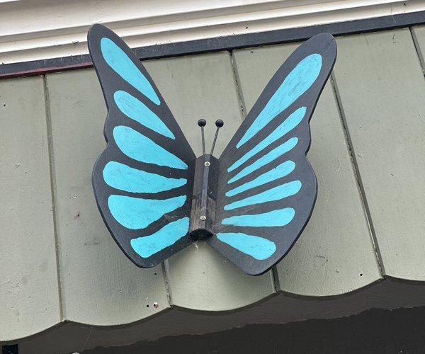 butterfly man newman