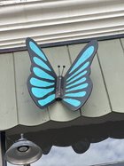 butterfly man newman