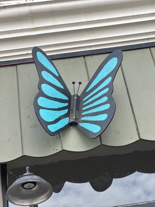 butterfly man newman