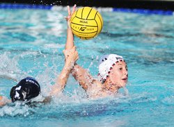 Ripon-Sierra water polo