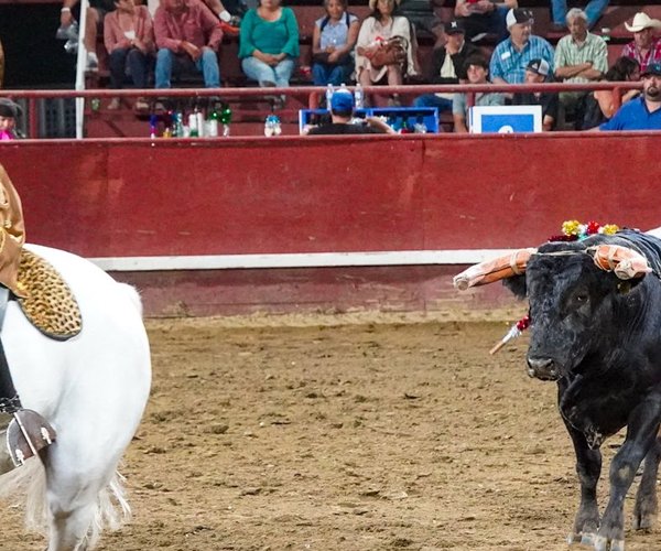 bullfight gustine 2025