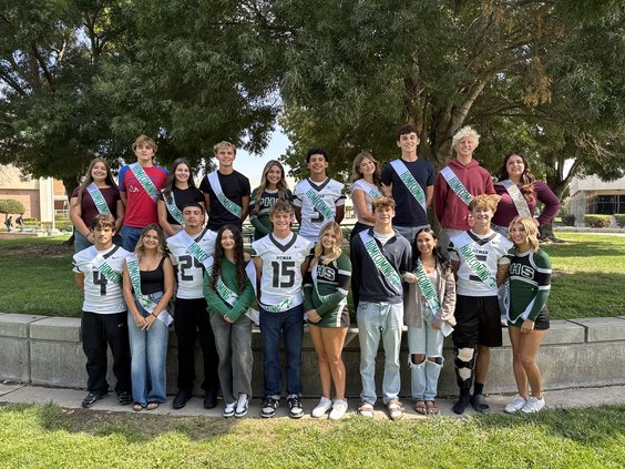 Pitman homecoming nominees