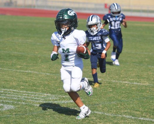 Jr Buffaloes-Cowboys youth football