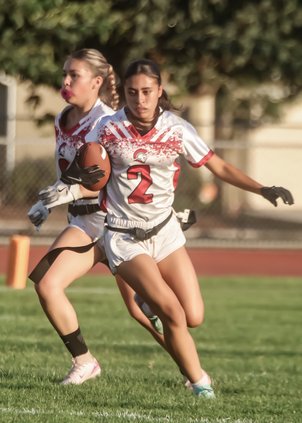 ghs ff 10-1