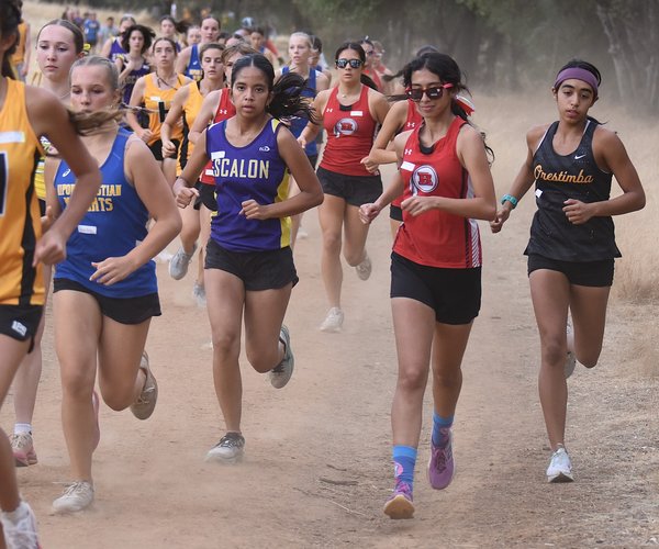ohs xc 10-1