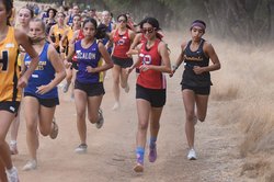 ohs xc 10-1